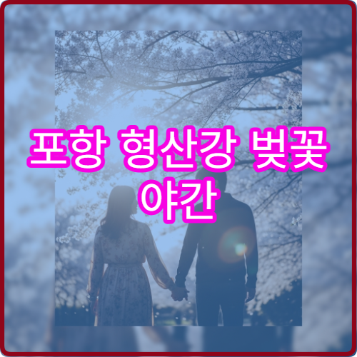 포항 형산강 벚꽃 야간 산책로 조명 켜지는 정확한 시간 실시간 안내