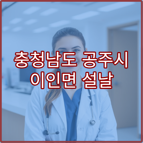 충청남도 공주시 이인면 설날 명절 당직약국 휴일 운영 정보 안내