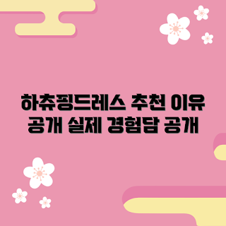 하츄핑드레스 추천, 하츄핑드레스 후기, 하츄핑드레스 장점, 하츄핑드레스 스타일, 하츄핑드레스 코디