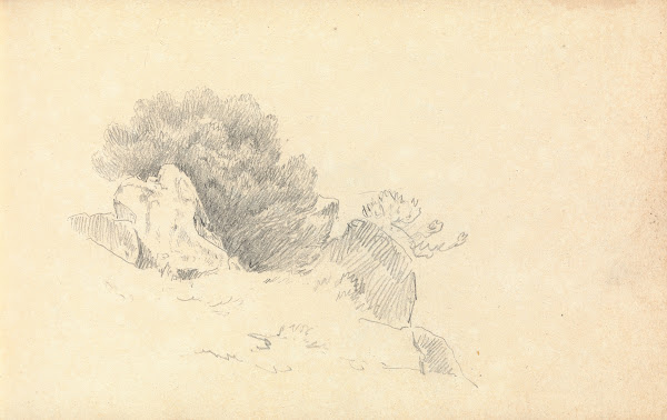 Sketch Of Rocks And Shrubs