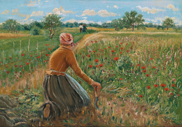 Rural & Country Life