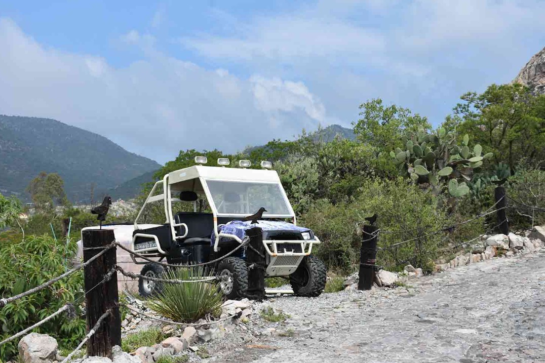 Safari en Peña de Bernal · foto 1