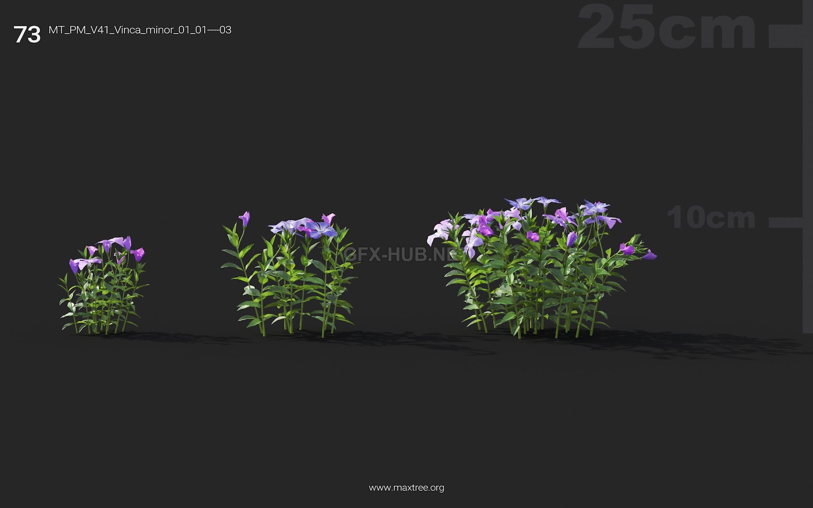 Maxtree - Plant Models Vol.41