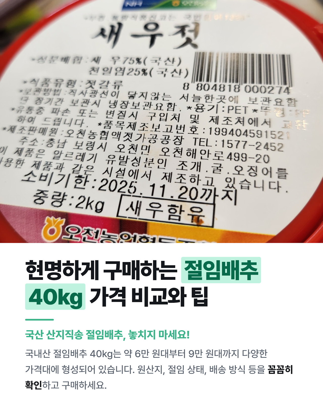 카드뉴스