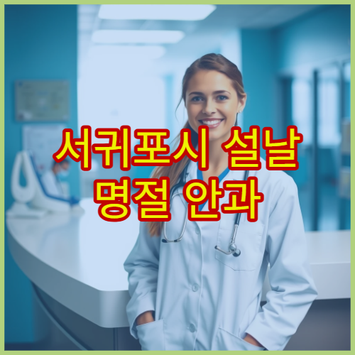 서귀포시 설날 명절 안과 진료 병원 위치와 진료시간