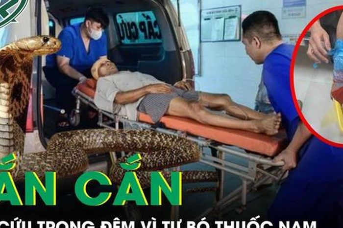 Rắn độc bò vào nhà cắn, người bệnh 41 tuổi phải cấp cứu trong đêm - Báo Sức Khỏe &amp; Đời Sống