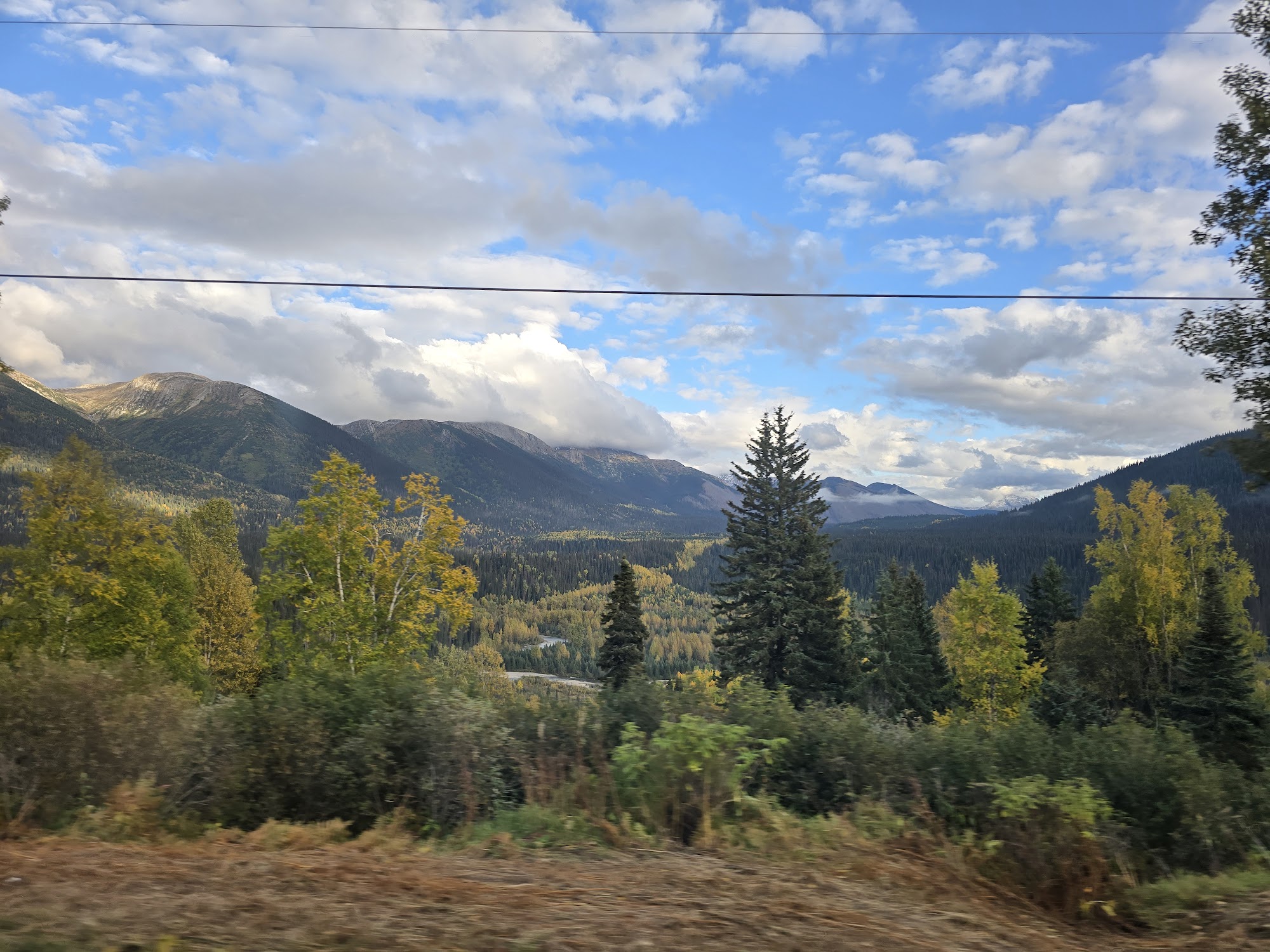 Fall Colors