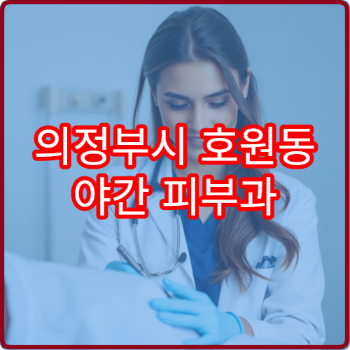 의정부시 호원동 야간 피부과 두드러기 피부염 진료 병원 정보