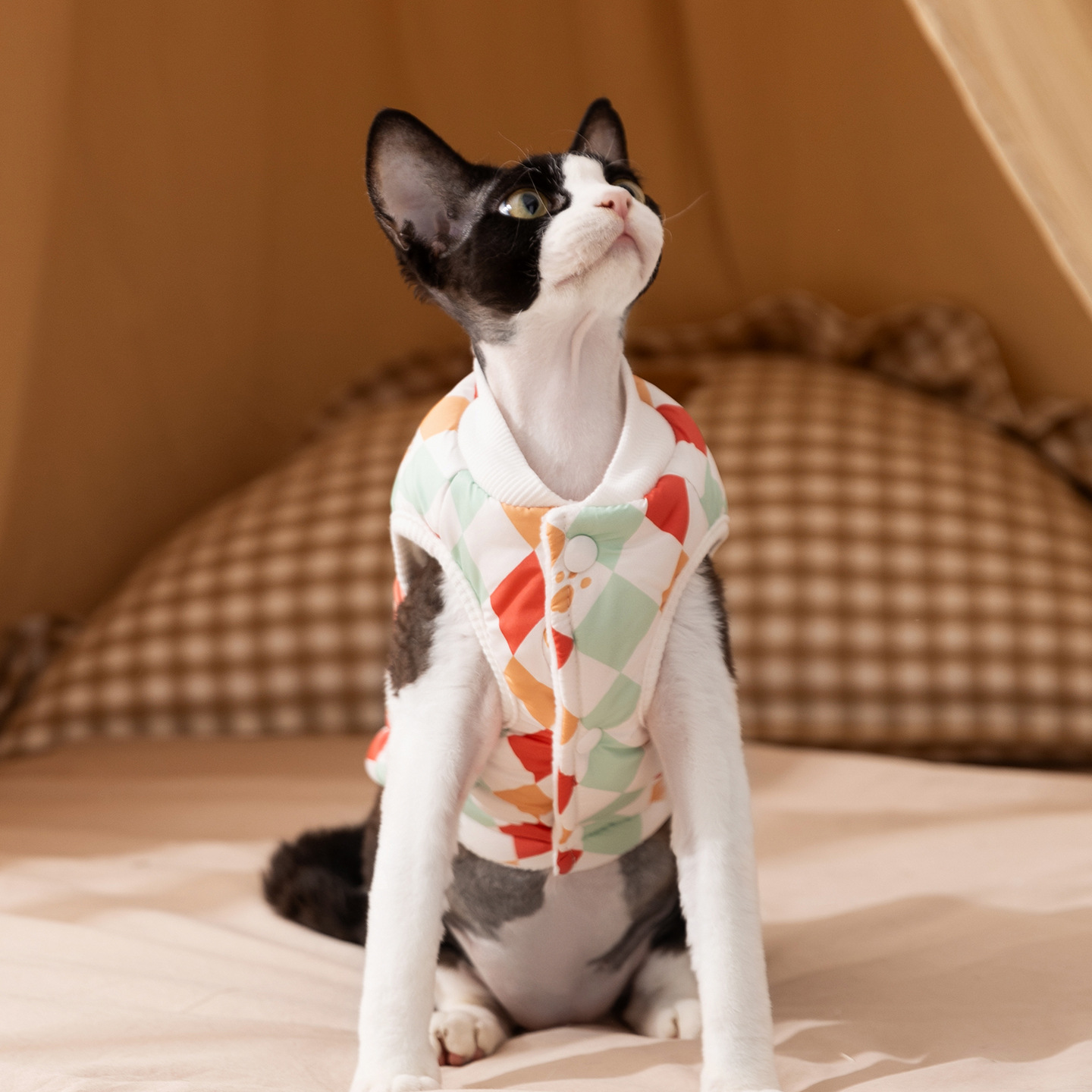 Wattiertes Westen-Kleidchen für Katzen und kleine Hunde
