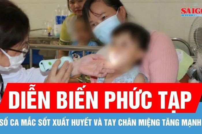 ĐBSCL: Số ca sốt xuất huyết và tay chân miệng tăng mạnh, ghi nhận 1 ca tử vong - Báo Sài Gòn Giải Phóng