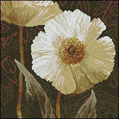 CMP 171349 White Flowers