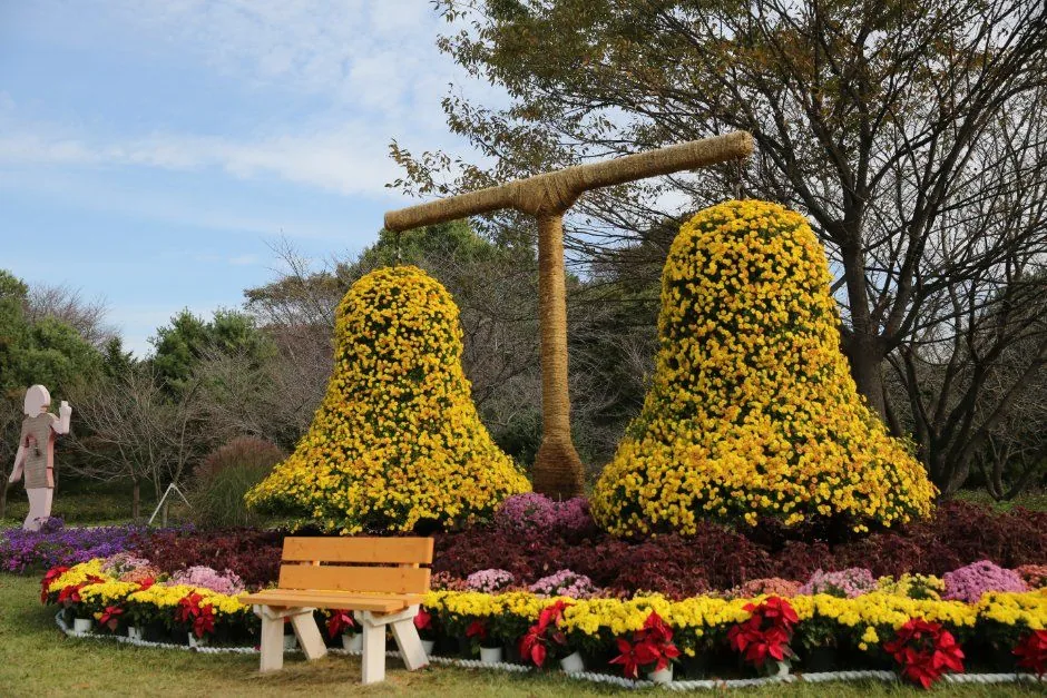 드림파크 국화축제 사진(한국관광공사)