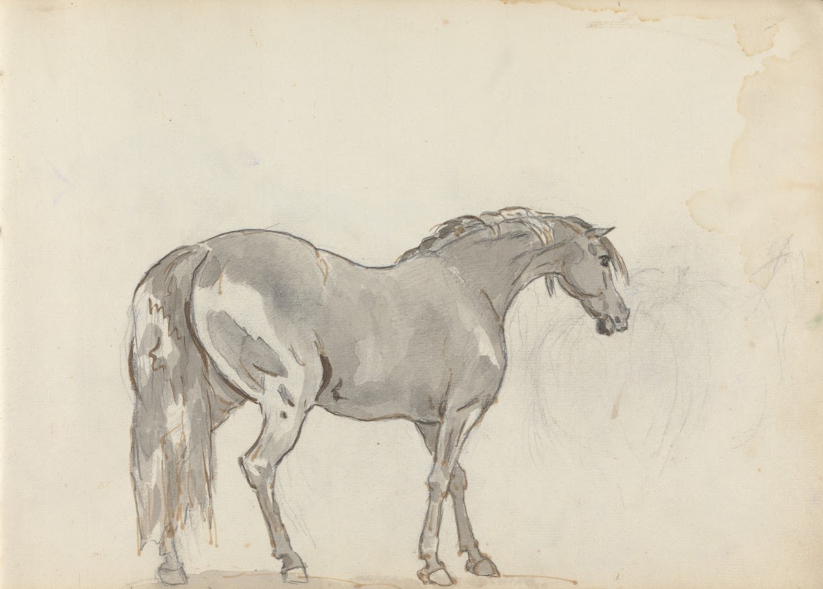 Fourty three Studies of Horses and Riders Pl13 1787