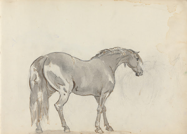 Fourty three Studies of Horses and Riders Pl13 1787