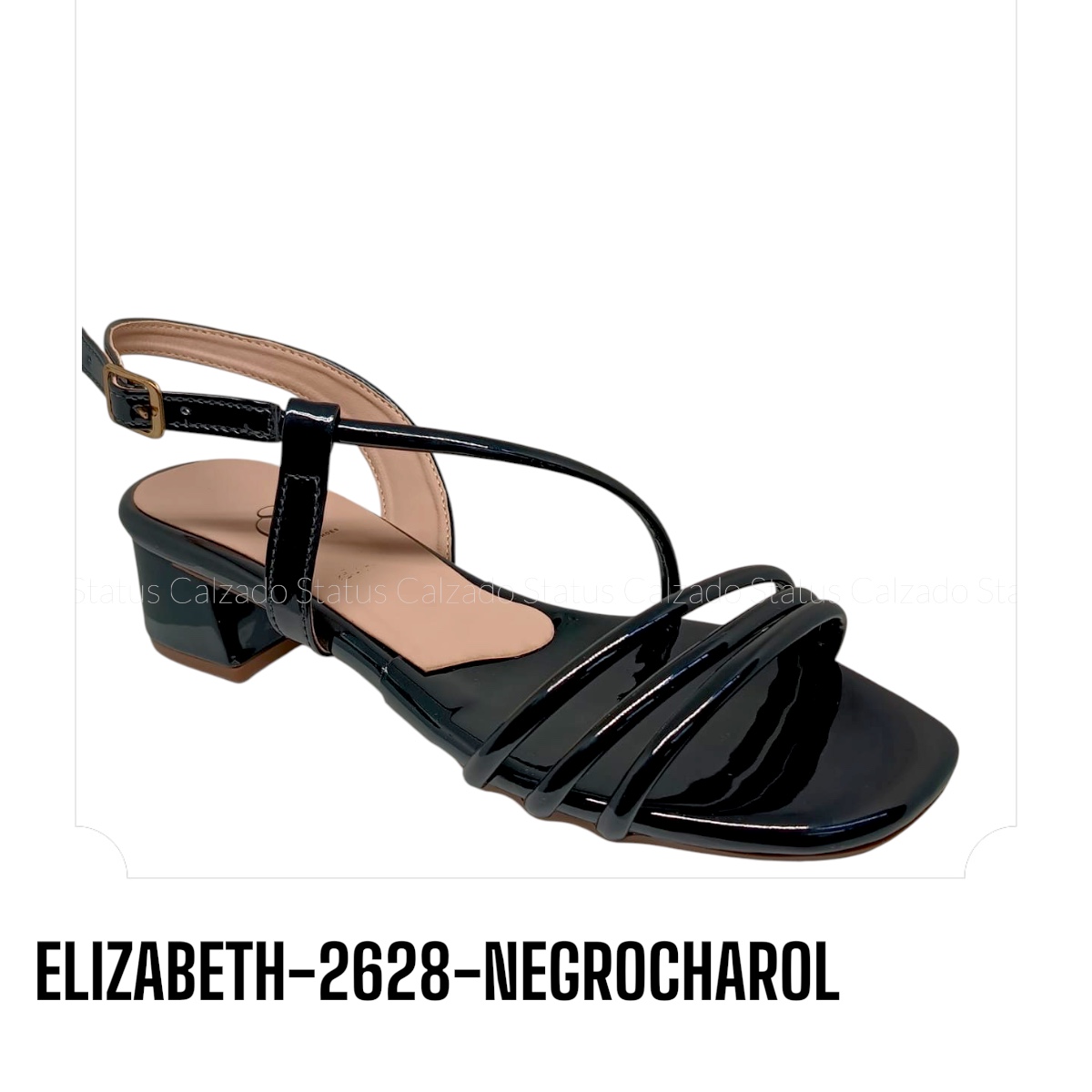 ELIZABETH-2628-NEGROCHAROL