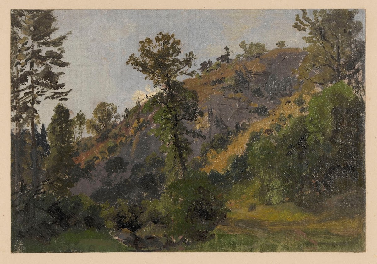 Slope overgrown with trees in the Szczawnik valley 1850 1881
