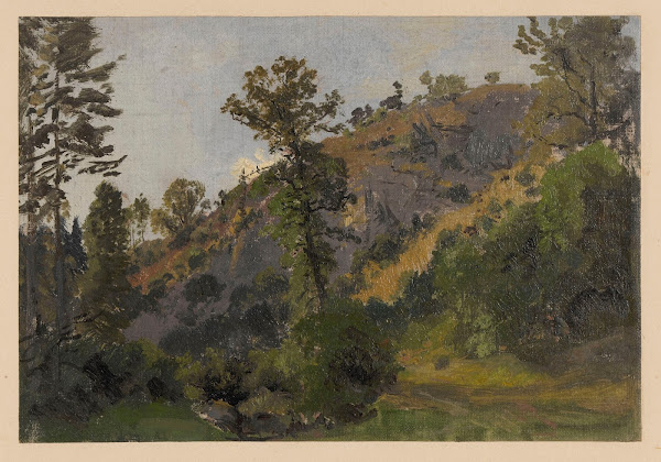 Slope overgrown with trees in the Szczawnik valley 1850 1881