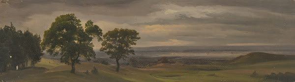 Evening meadow landscape