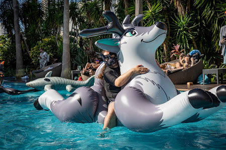 furdu-04039.jpg