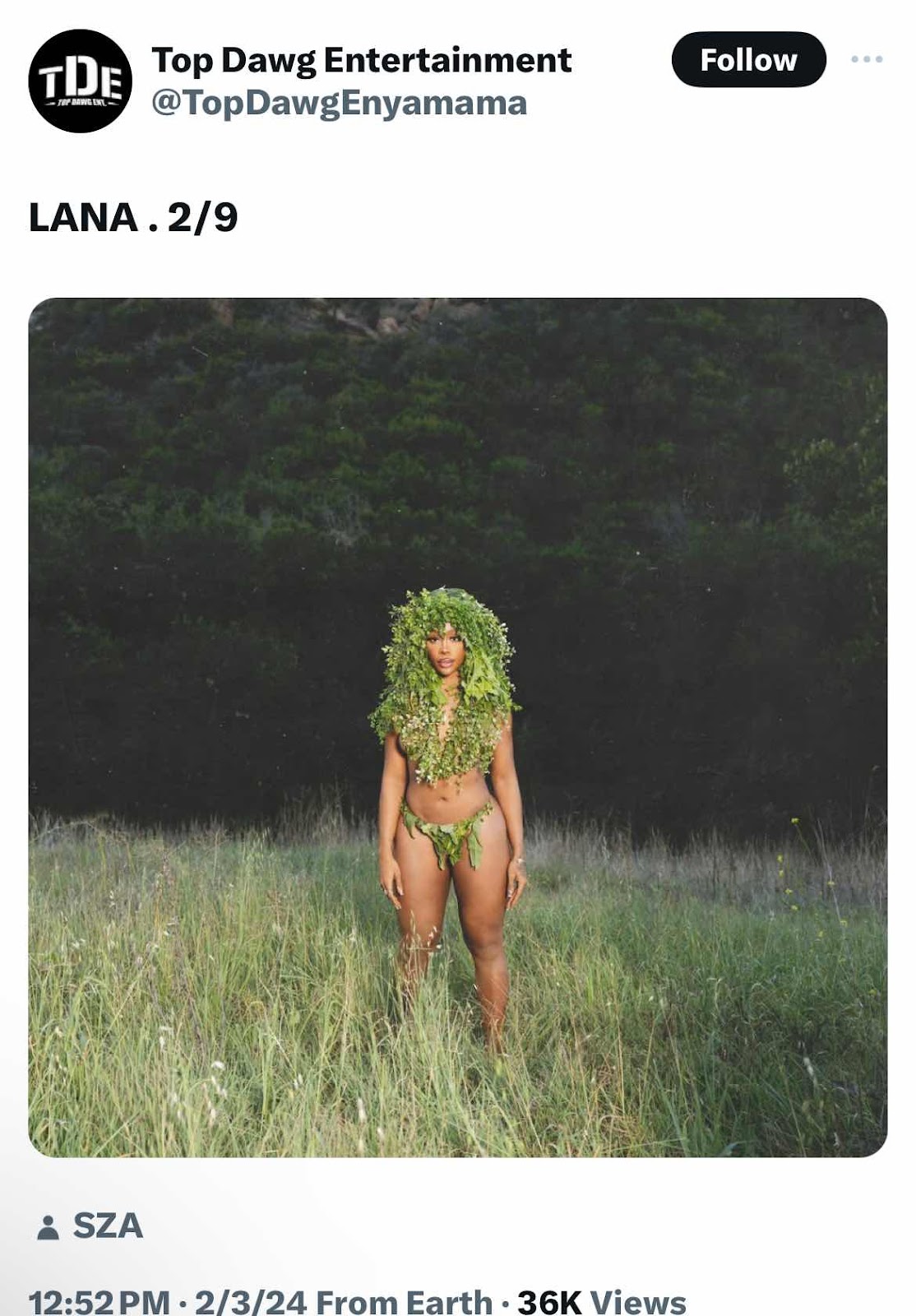 TDE Announces “LANA” Release Date