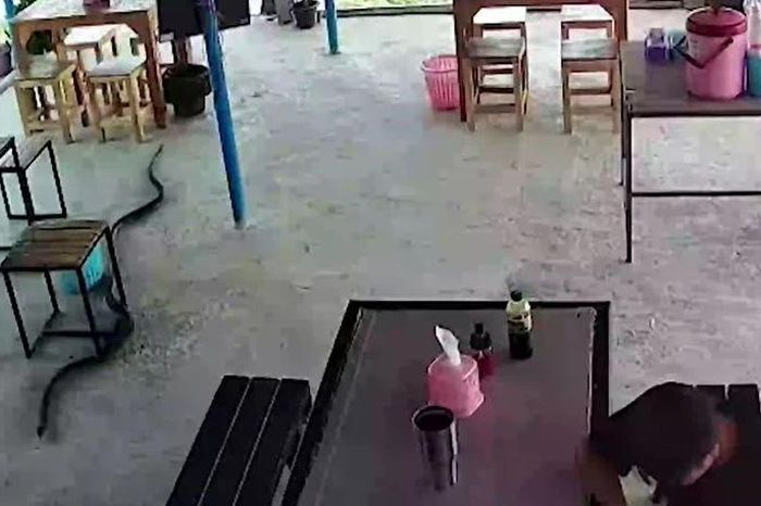 Đang lướt điện thoại, nam thanh niên vội vã bỏ chạy khi rắn hổ mang trườn ngay trước mặt - Tạp chí Doanh Nghiệp Việt Nam