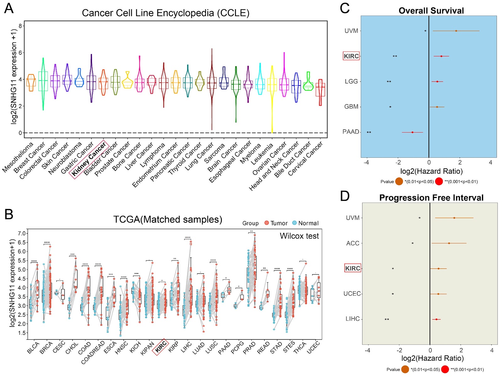 A novel biomarker SNHG11 promotes tumor progression and oxidative phosphorylation in clear cell renal cell carcinoma