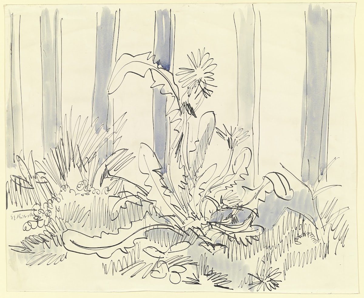 Dandelion at the garden fence ca 1924