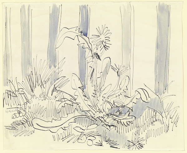 Dandelion at the garden fence ca 1924