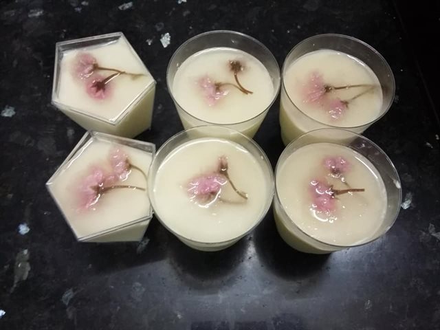 Cherry Blossom Cheesecake