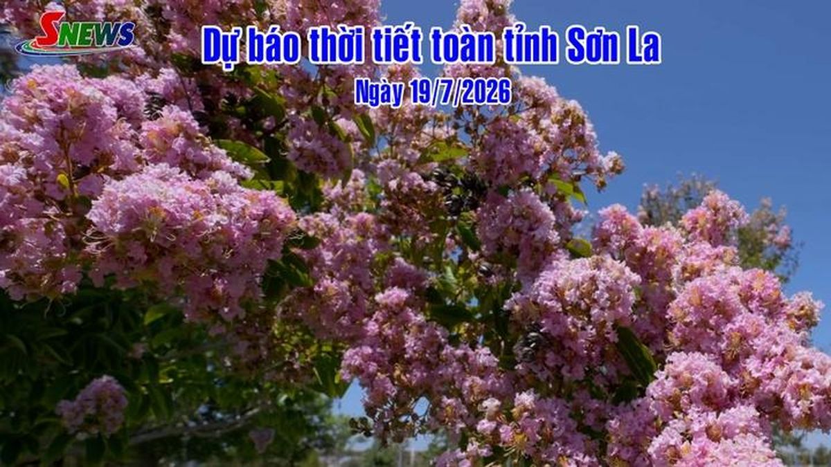 Dự báo thời tiết toàn tỉnh Sơn La ngày 19/7/2026 - Báo Sơn La