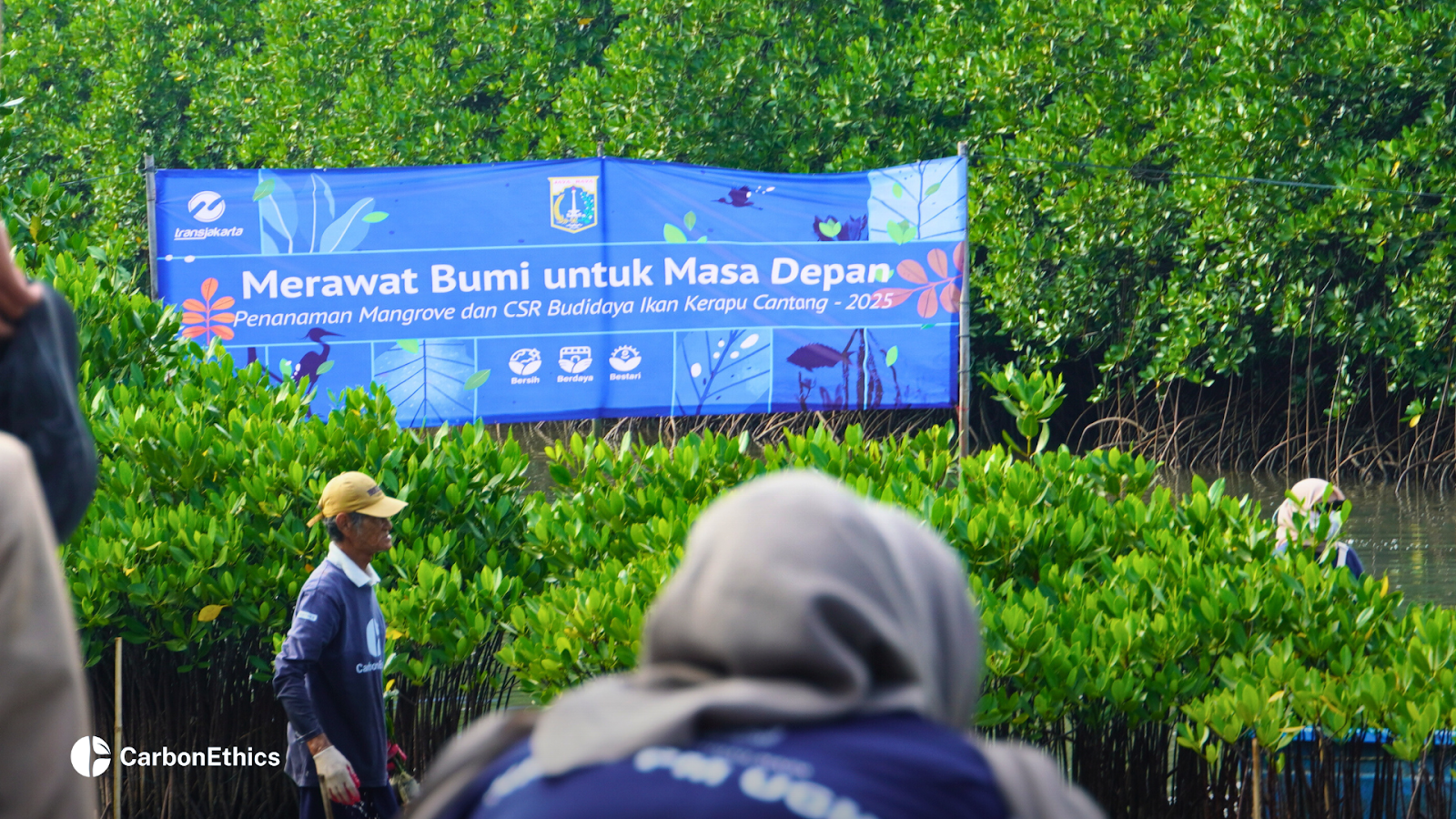 A blue banner reads “Merawat Bumi untuk Masa Depan” (Caring for the Earth for the Future), part of a joint mangrove planting and CSR program by Transjakarta and DKI Jakarta. The banner is surrounded by lush green mangroves.