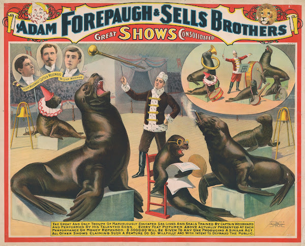 Adam Forepaugh  Sells Brothers great shows consolidated 1898