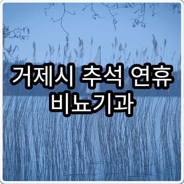 거제시 추석 연휴 비뇨기과 진료 병원 찾는 법과 운영시간