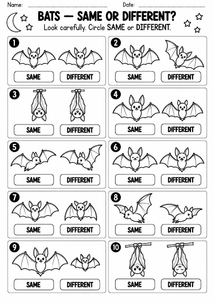 Bat Same or Different Worksheet
