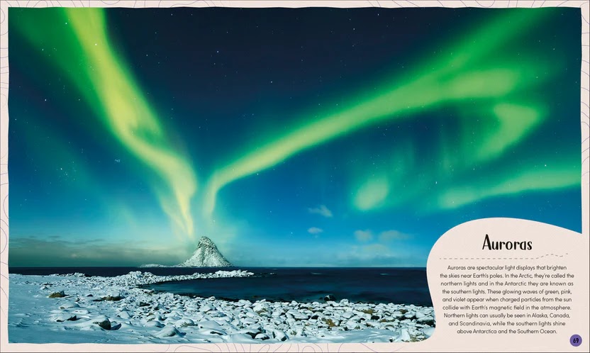 Polar — gambar 3