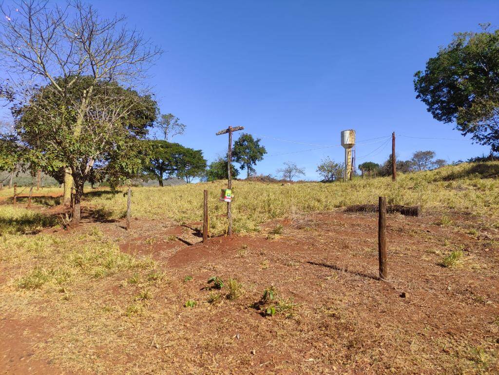 Fazenda em Niquelândia - GO 9