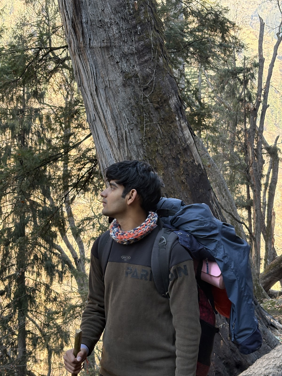 Vikas