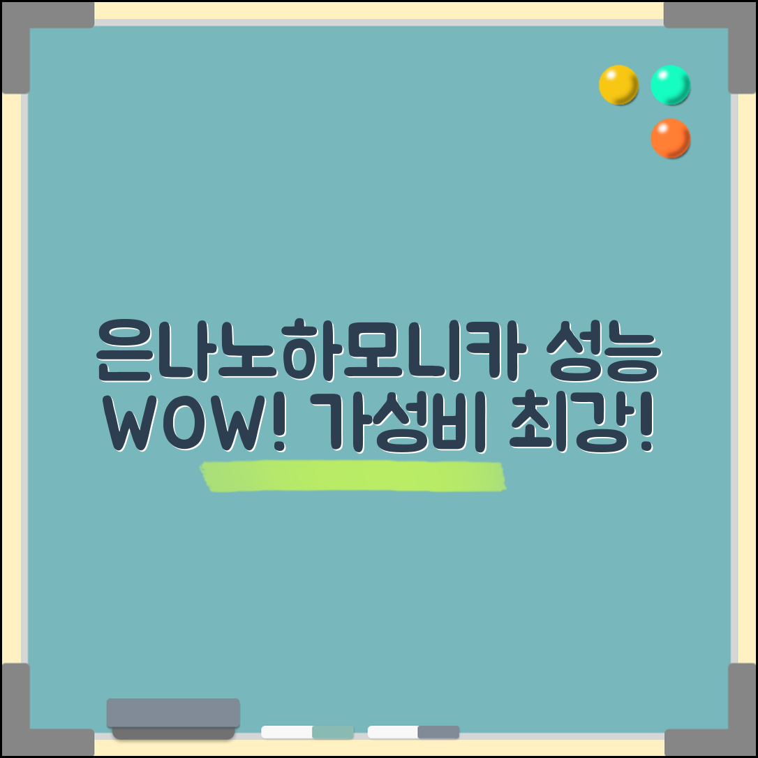 “은나노하모니카, 가격 대비 성능이 놀라워요!”