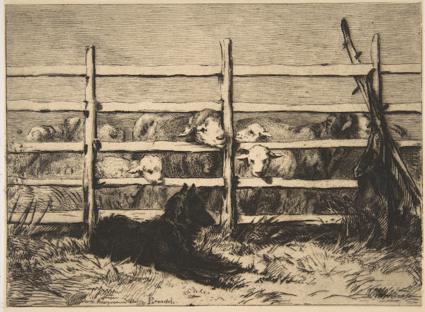 Moutons parqués 1856