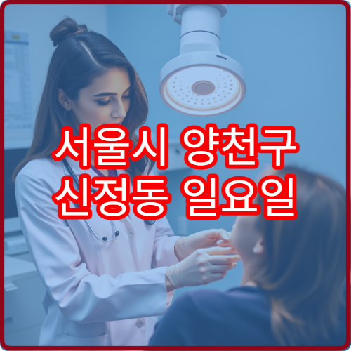 서울시 양천구 신정동 일요일 진료 가능한 내과 주말 발열 복통 상담 정보