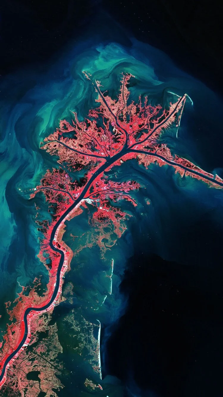 A Cool Mississippi River Delta, Earth, Mississippi River, Water, Plant  iPhone Wallpaper for Free Download in High Quality [750x1334]