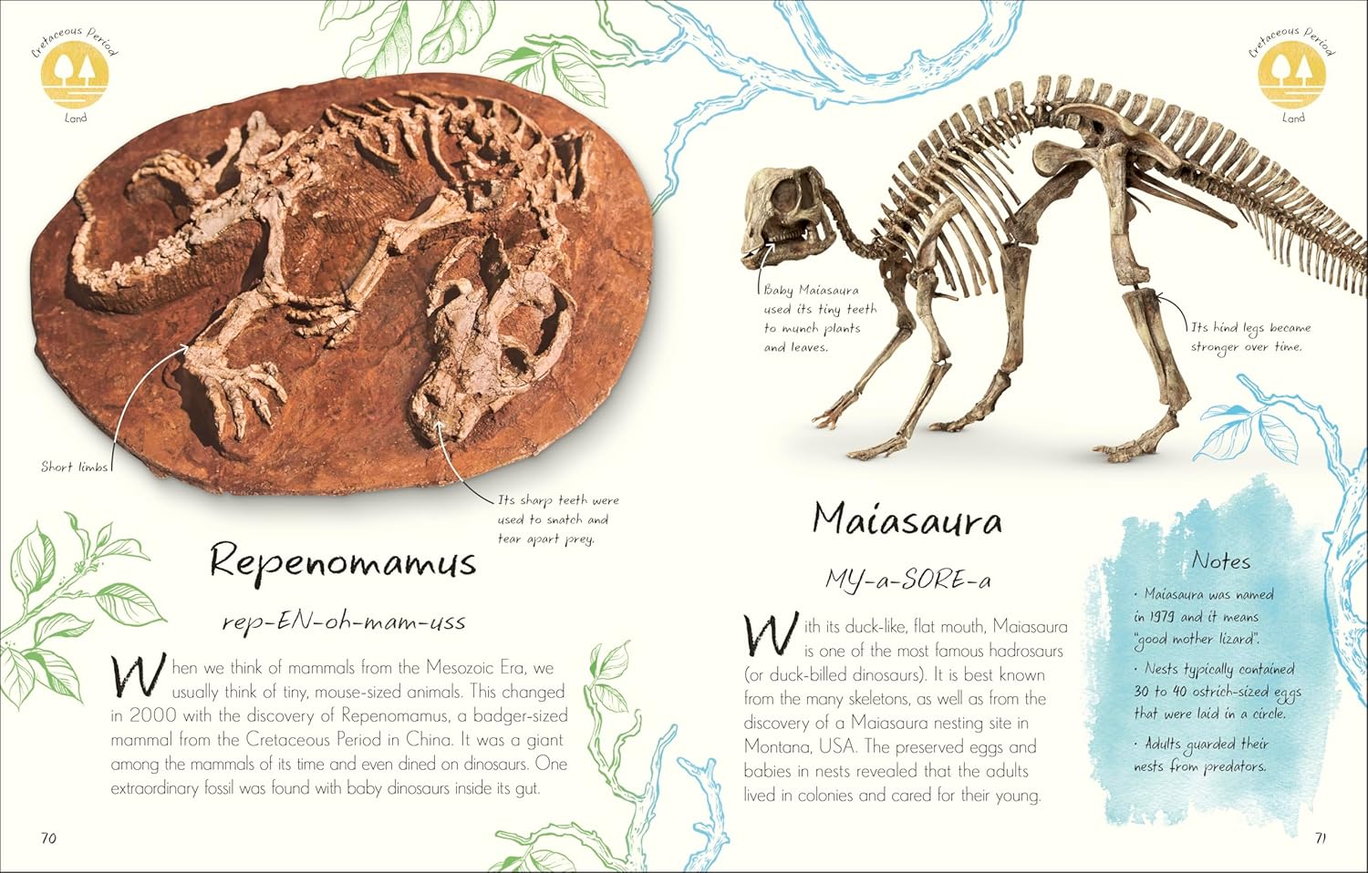 An Anthology of Fossils - thumbnail 3