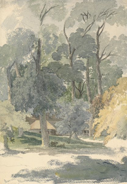 Trees and Barns in Ashstead Park Surrey