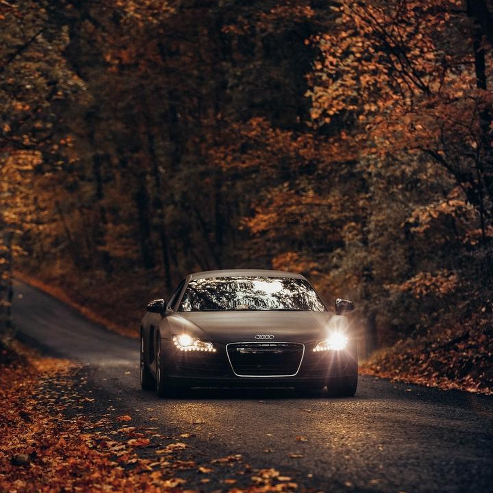 Download Audi R8 On Autumn Road iPhone