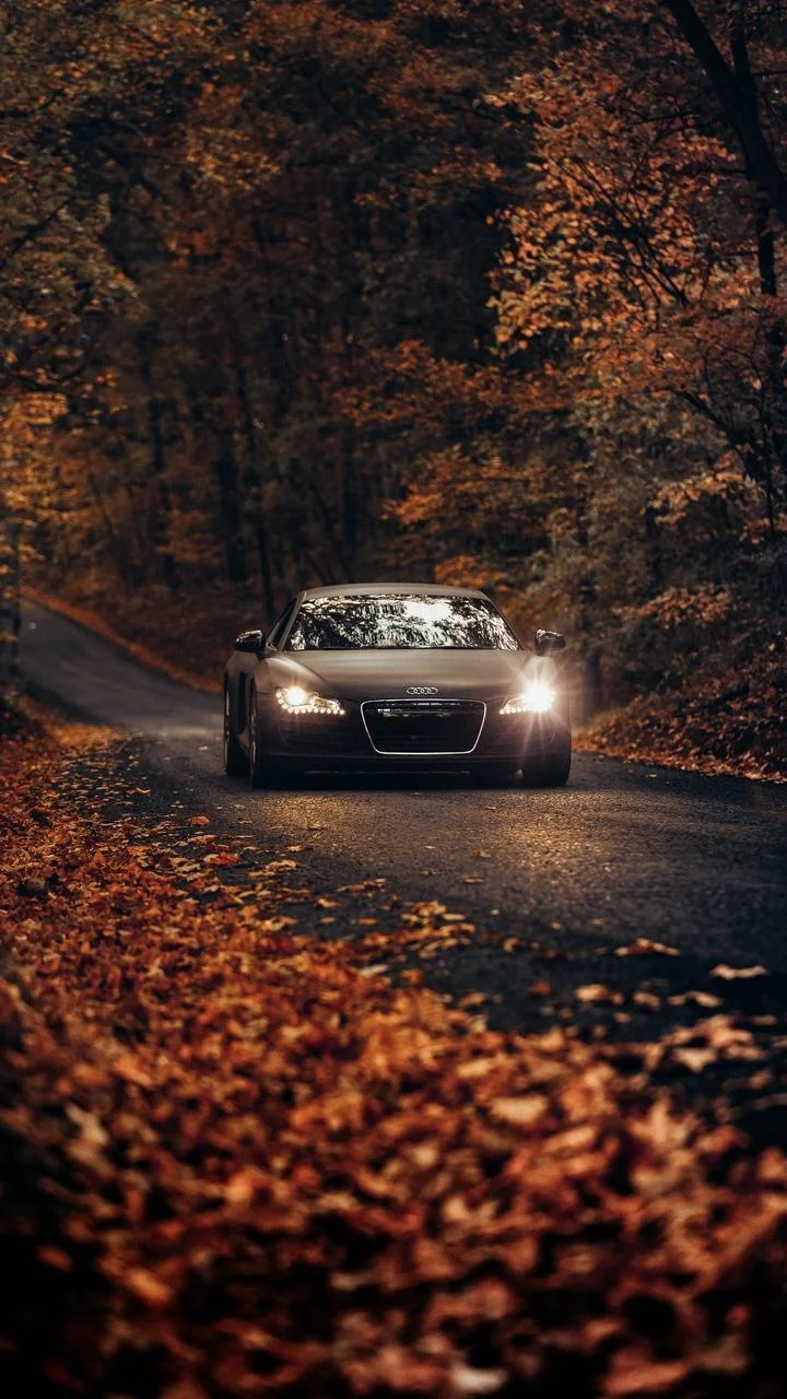 Audi R8 On Autumn Road - Automotive Photography iPhone Wallpaper (720x1280)