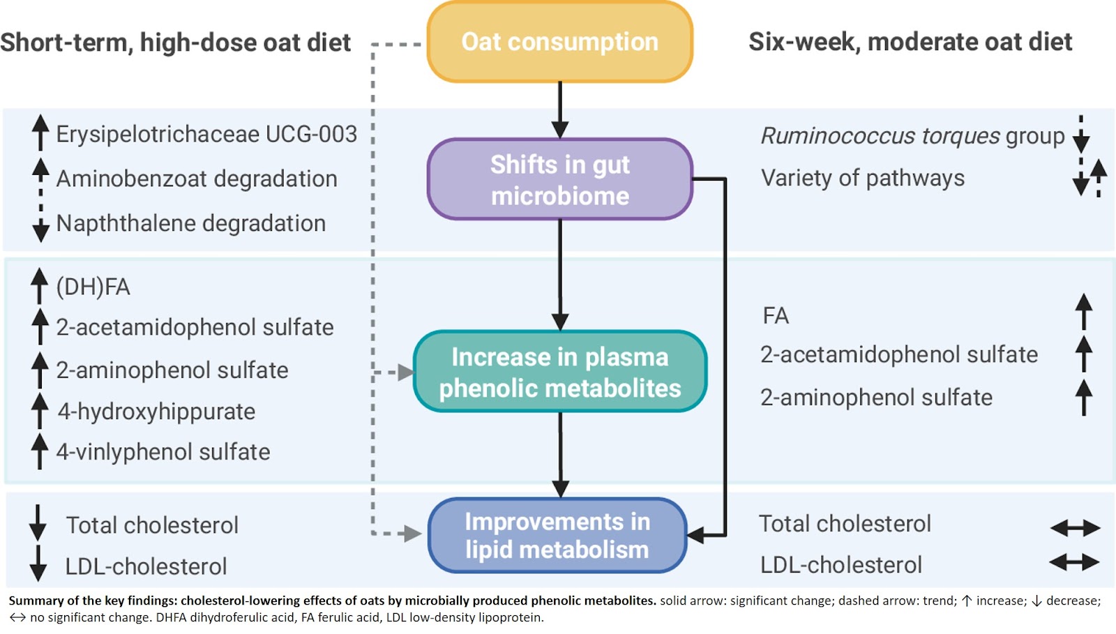 Cholesterol-lowering effects of oats induced by microbially produced phenolic metabolites in metabolic syndrome: a randomized controlled trial