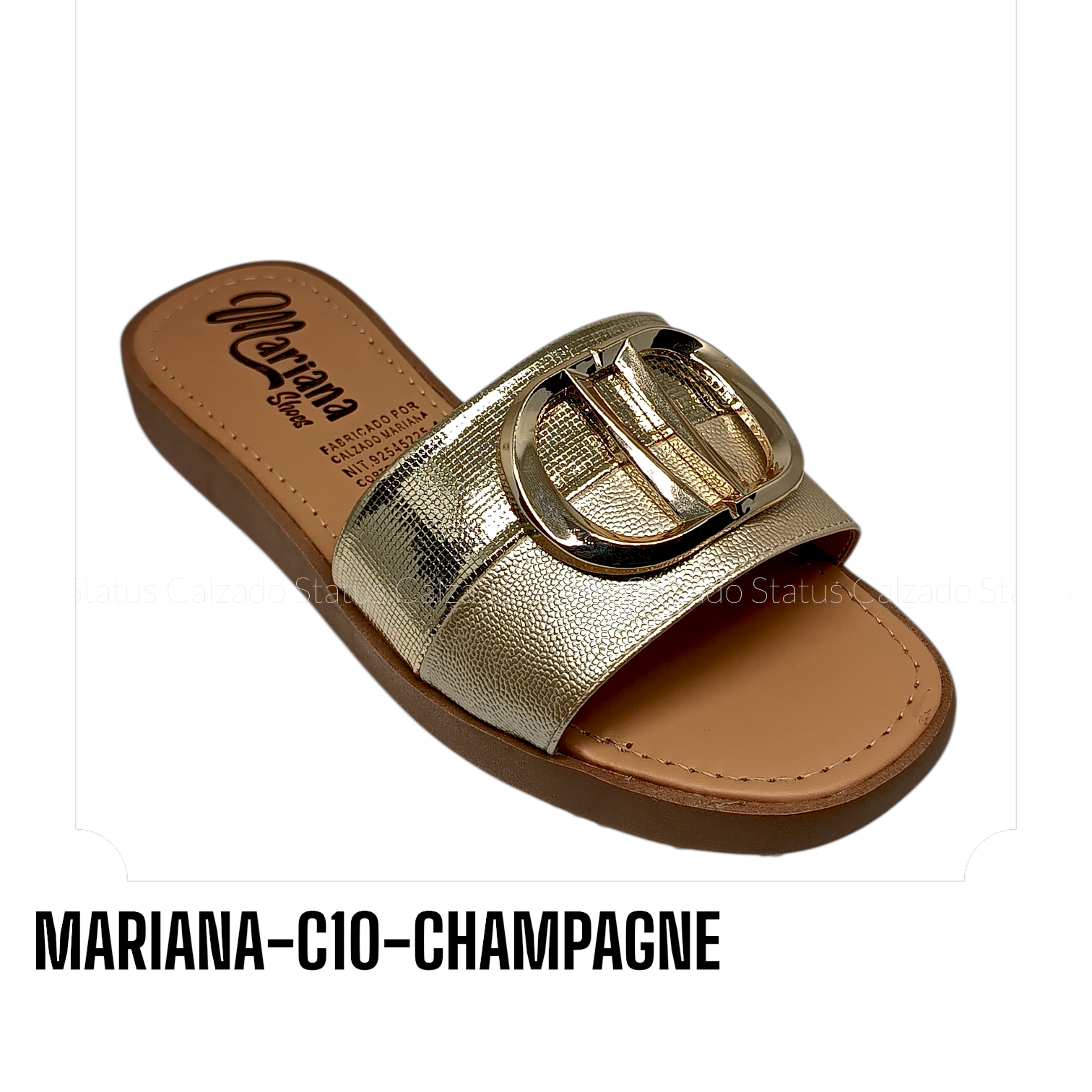 MARIANA-C10-CHAMPAGNE