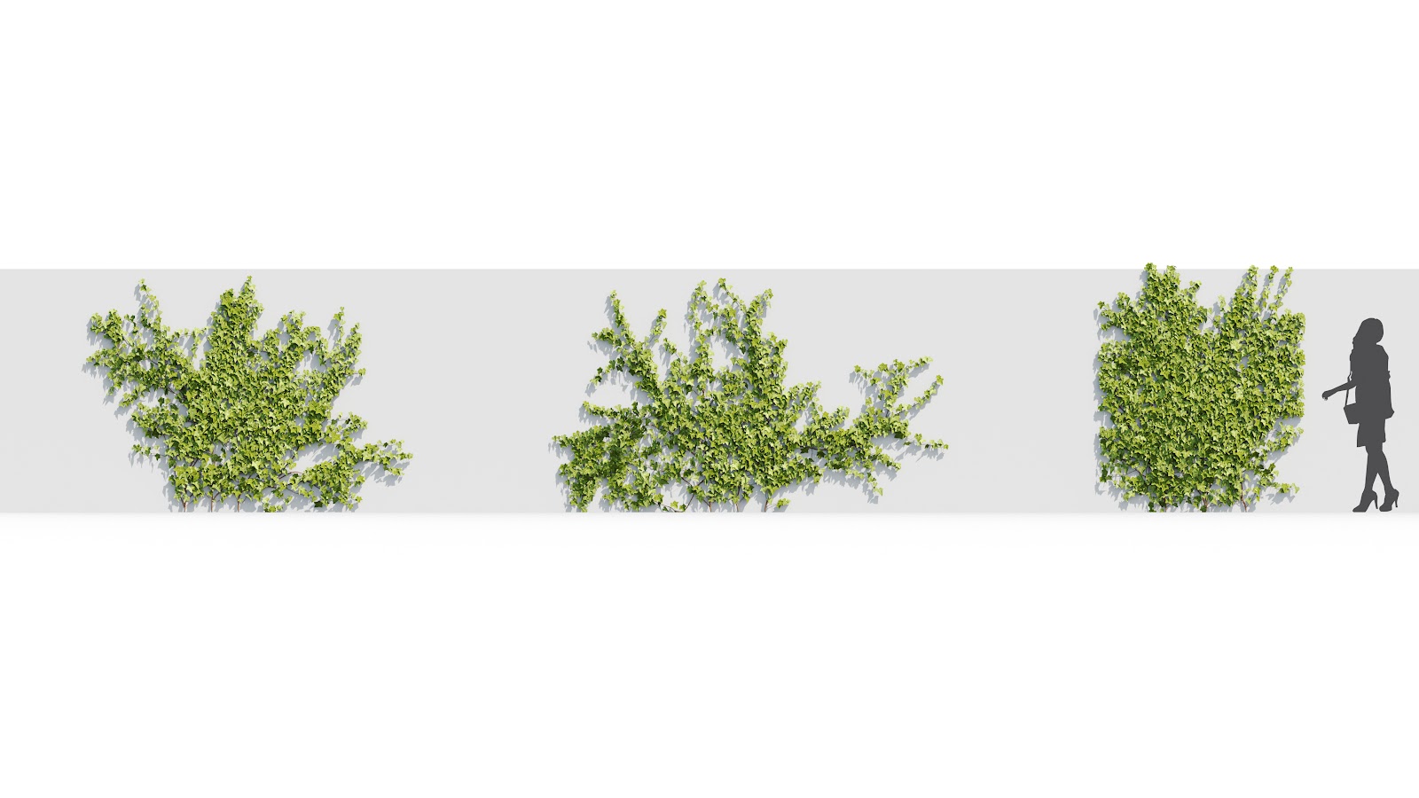 Maxtree - Plant Models Vol.37