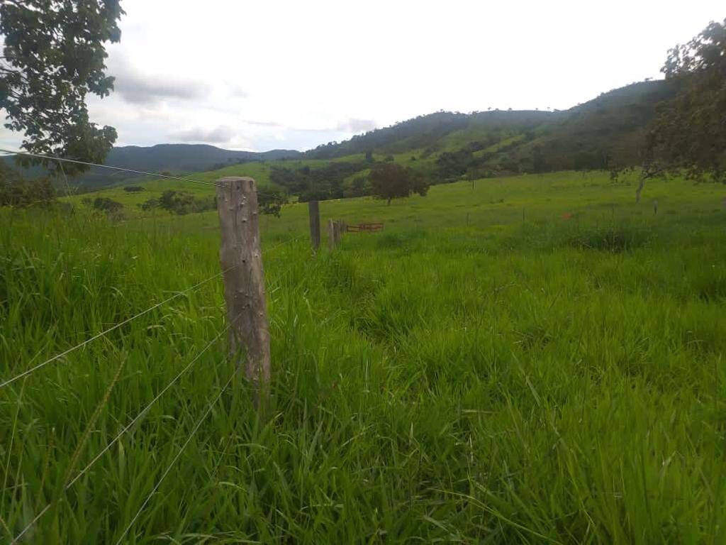 Fazenda em Trombas - GO 6