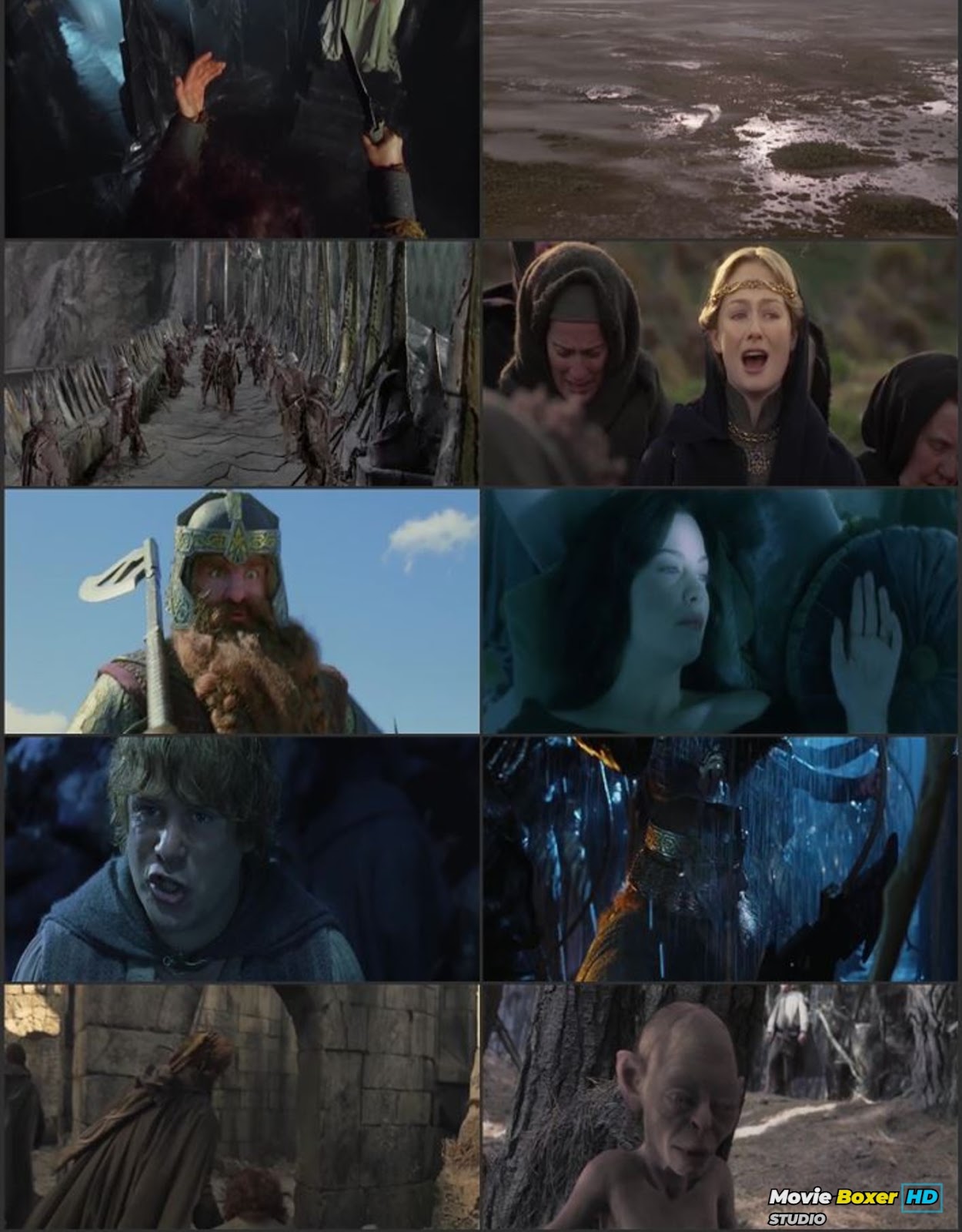 Screenshots Grid